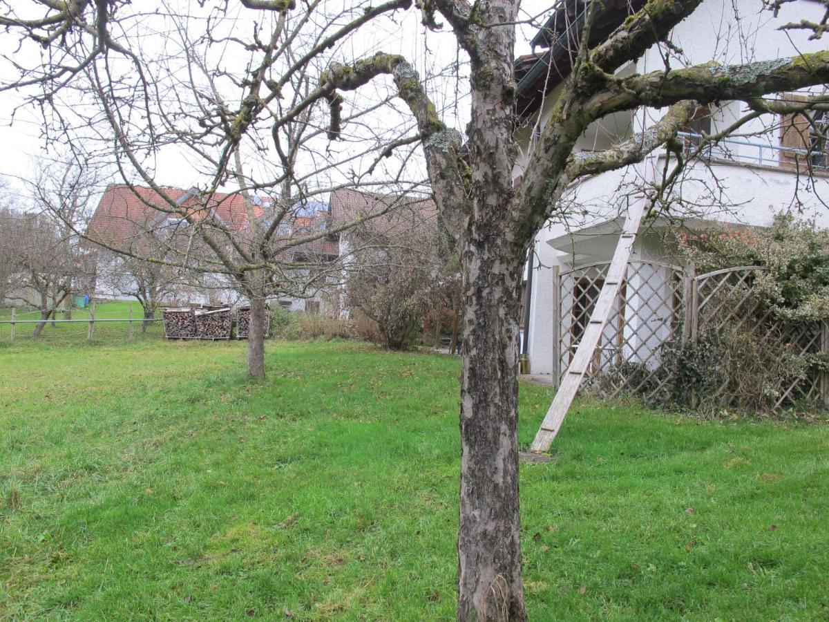 Hotel Gasthaus Adler Wangen im Allgäu Exteriér fotografie